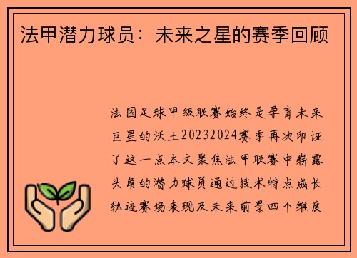 法甲潜力球员：未来之星的赛季回顾